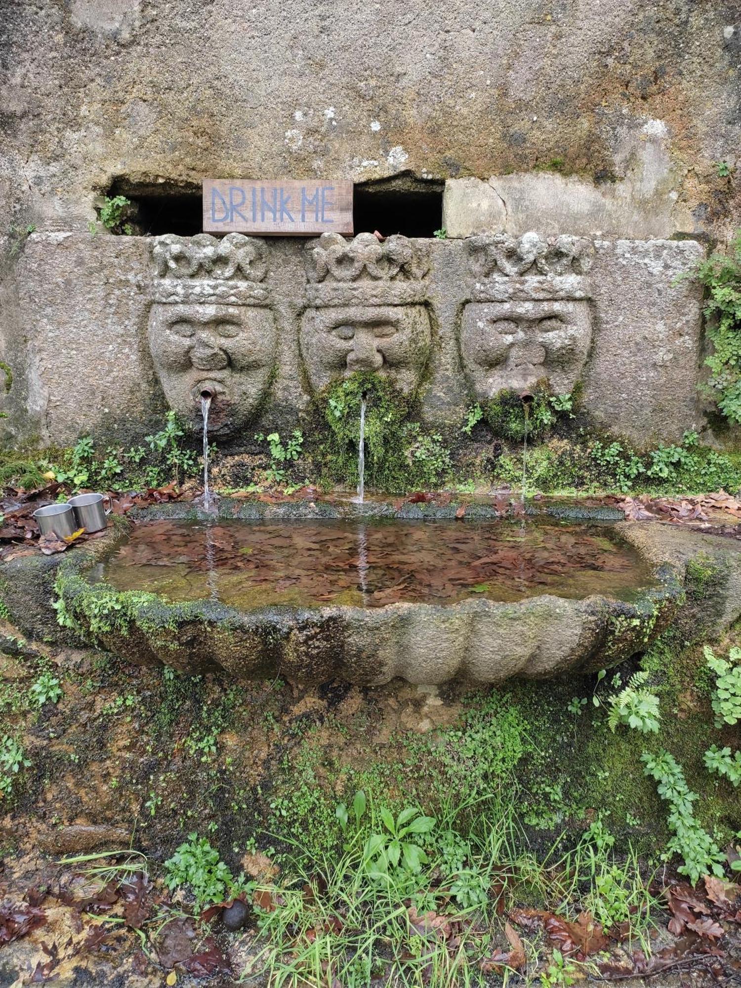 Associacao Quinta Das Relvas Branca Eksteriør bilde